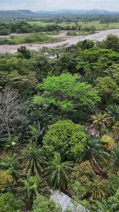 Aerial view of the river