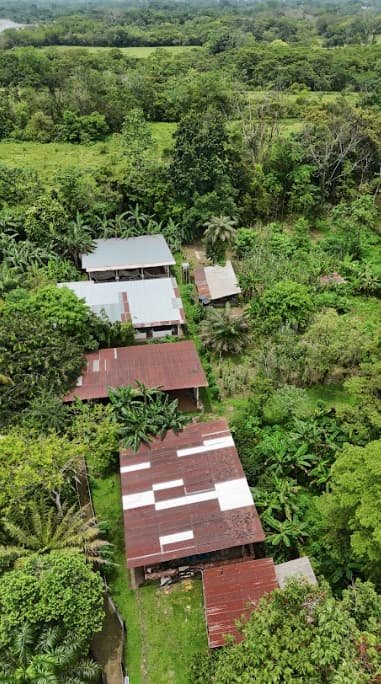 Natural surroundings
